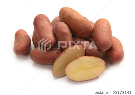 フランスのじゃがいも、シェリー フランスのじゃがいも、シェリー 95178141