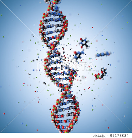 Molecular structure of DNA. 3D rendering. Molecular structure of DNA. 3D rendering. 95178384