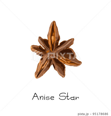 Collection of star anise, illicium or badiane isolated Collection of star anise, illicium or badiane isolated 95178686