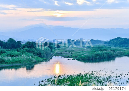 朝霧　河口 95179174