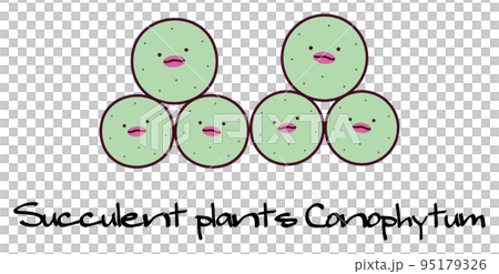 多肉植物 メセン コノフィツム パゲアエ conophytum pageae キャラクター イラストのイラスト素材 [95179326] - PIXTA