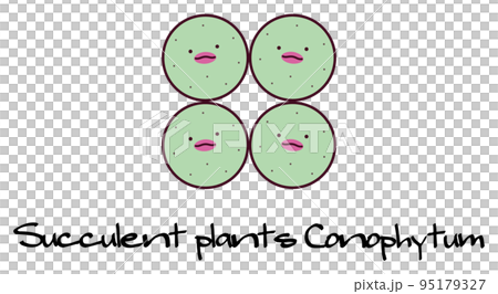 succulent plant mesen conophytum pageae conophytum pageae character illustration succulent plant mesen conophytum pageae conophytum pageae character illustration 95179327