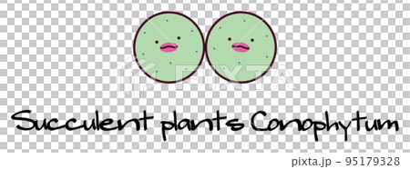 succulent plant mesen conophytum pageae conophytum pageae character illustration 95179328