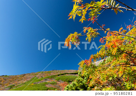 紅葉する御嶽山 紅葉する御嶽山 95180281