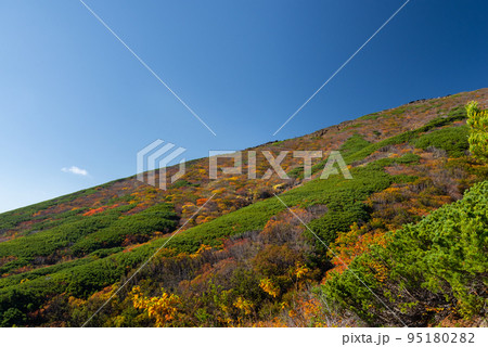 紅葉する御嶽山 紅葉する御嶽山 95180282