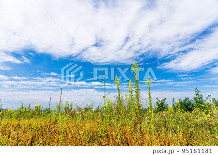 秋色の風景 秋色の風景 95181181