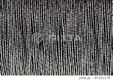 the silver texture of the skin the silver texture of the skin 95181276