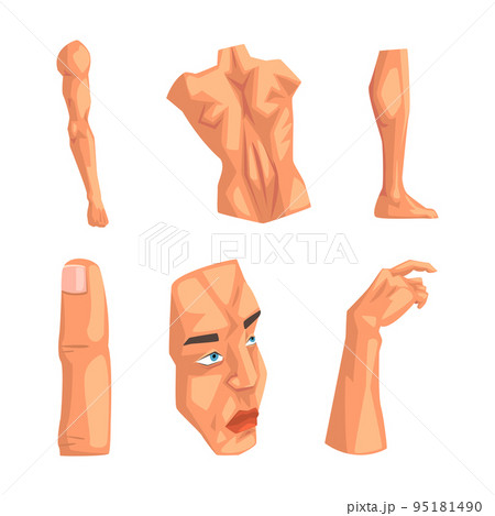 Human Body Shapes Hand Types Icon Set Stock Illustration - Download Image  Now - Anatomy, Arm, Beauty - iStock