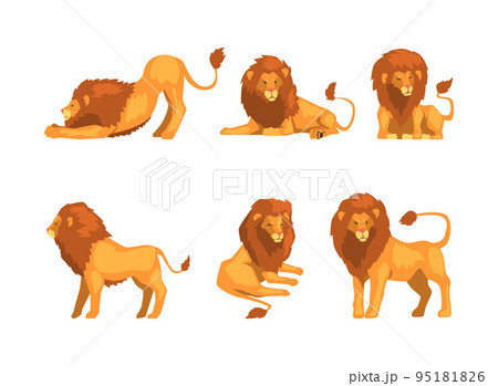 Proud Powerful Lion Character as King of Animalのイラスト素材