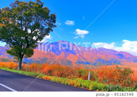 秋晴れの青空と鮮やかな山麓の紅葉 秋晴れの青空と鮮やかな山麓の紅葉 95182599