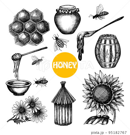 Honey set black hand drawn doodle 95182767