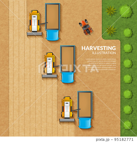 Harvesting top view illustration 95182771