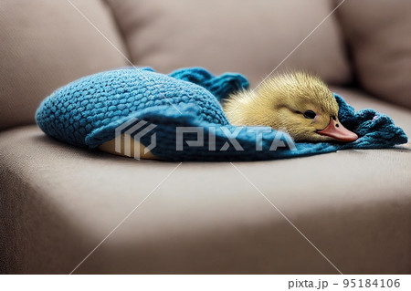 Cute baby duck slepping on on sofa under blanket. Cute baby duck slepping on on sofa under blanket. 95184106