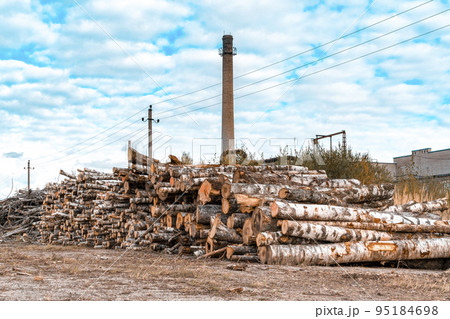 A pile of logs with a big chimney on background 95184698