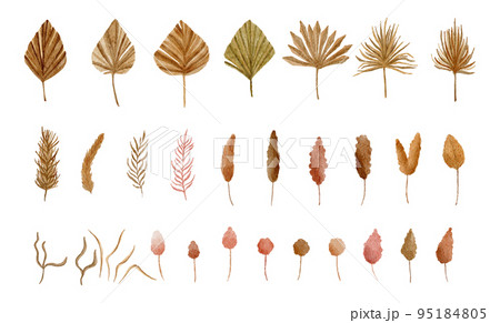 Set of Dried lunaria flower, pampas grass, tropical palm leaves. Pastel watercolor floral template isolated collection for wedding wreath, bouquet frames, decoration design elements. 95184805