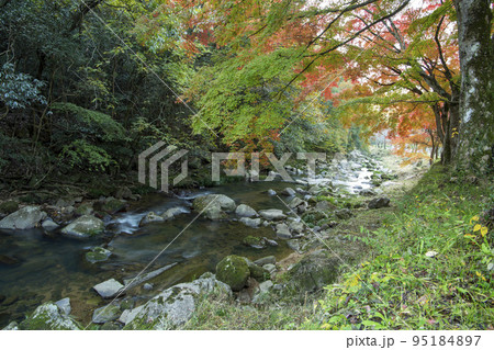秋の景勝地 95184897
