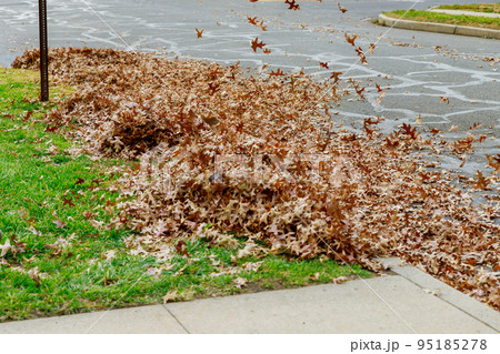 During autumn season, municipal workers cleaning sidewalks by collecting leaf piles of dried leaves piling them up using leaf blower During autumn season, municipal workers cleaning sidewalks by collecting leaf piles of dried leaves piling them up using leaf blower 95185278