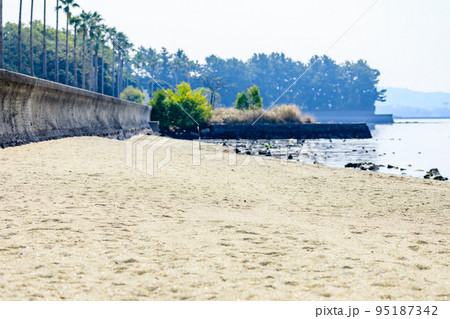初秋のガラスの砂浜　長崎県大村市 95187342