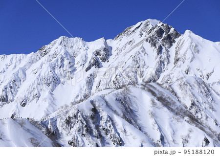 雪の五竜岳 雪山登山 雪の五竜岳 雪山登山 95188120