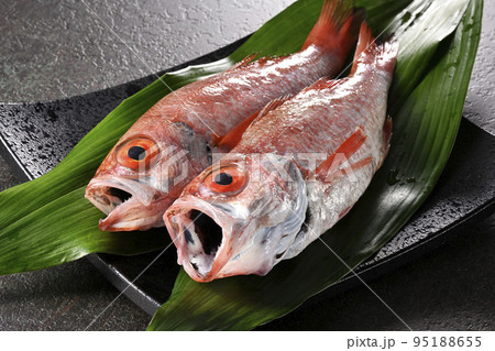 ノドグロ ノドグロ 95188655