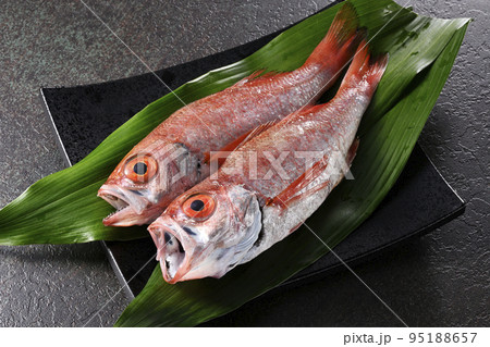 ノドグロ 95188657