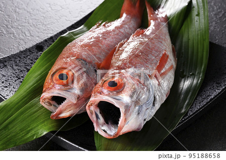 ノドグロ ノドグロ 95188658