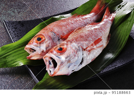 ノドグロ ノドグロ 95188663