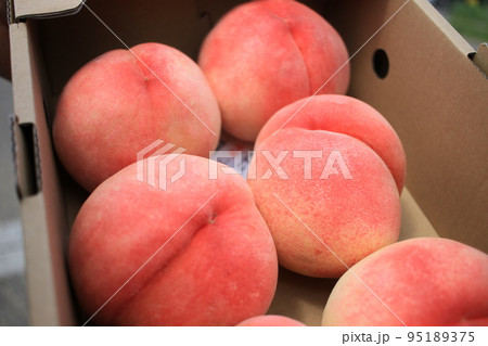 夏の宝石、桃 夏の宝石、桃 95189375