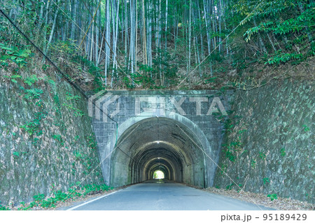竹林の下を通る善波トンネル　横構図 95189429
