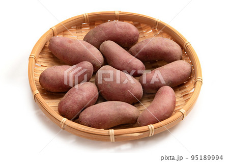 ジャガイモのノーザンルビー 95189994