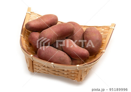 ジャガイモのノーザンルビー ジャガイモのノーザンルビー 95189996