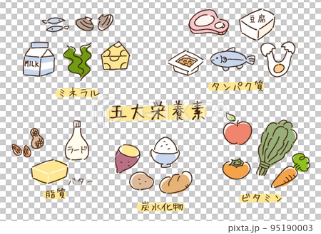 五大栄養素イラスト 95190003
