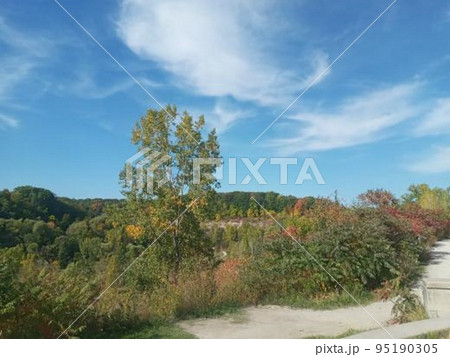 自然 ブリックワークス ドン渓谷 トロント カナダ The Brickworks Canada 95190305