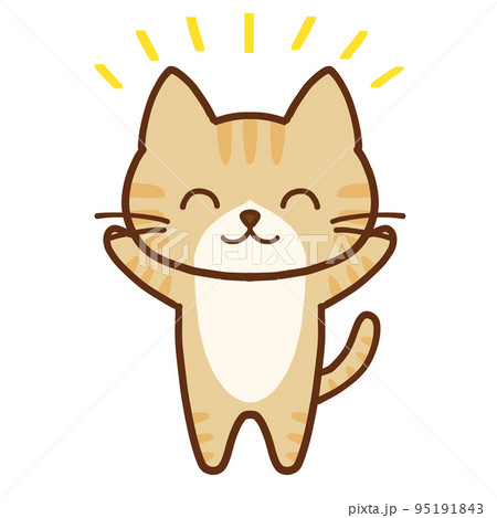 笑顔で両手をあげるかわいい茶トラハチワレ猫 笑顔で両手をあげるかわいい茶トラハチワレ猫 95191843