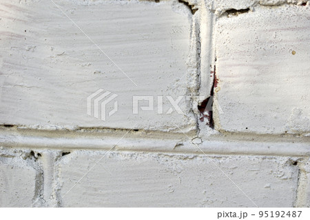 Whitewashed brick wall of the house during the day. Whitewashed brick wall of the house during the day. 95192487