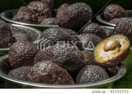 Avocados. One of them is opened that the stone and the pulp are visible 95192553