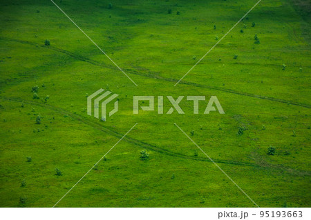 green grass natural background texture. mountain hillside in dappled light 95193663