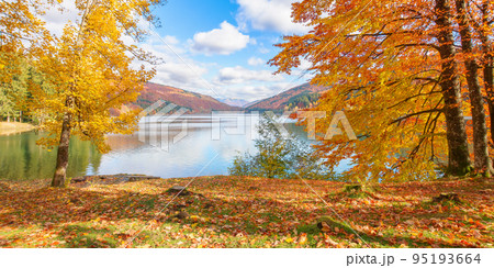 countryside scenery at the lake in autumn. forest in fall colors on the shore covered in fallen foliage. wonderful mountain landscape on a sunny afternoon with clouds and sky reflecting in the water countryside scenery at the lake in autumn. forest in fall colors on the shore covered in fallen foliage. wonderful mountain landscape on a sunny afternoon with clouds and sky reflecting in the water 95193664