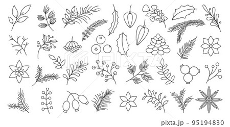 Winter autumn berry christmas tree spruce branch leaf hand drawn black line set. Poinsettia fir pine cone star anise wild rose viburnum festive garden plant flower decor card invitation sticker print 95194830