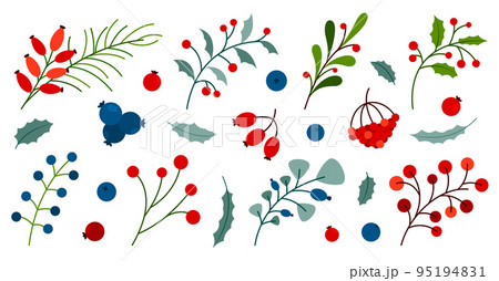 Winter autumn berry plant leaf branch sprout fruit colorful flat set. Holly wild rose viburnum blueberry sea buckthorn lingonberry cranberry. Floral element festive decor card sticker print isolated 95194831