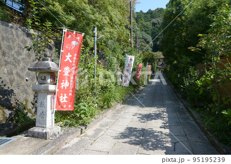 哲学の道　大豊神社　参道　京都市左京区 95195239