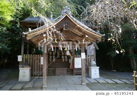哲学の道 大豊神社 本殿 京都市左京区 哲学の道 大豊神社 本殿 京都市左京区 95195243