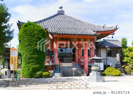 千葉県松戸市金蔵院 95195714