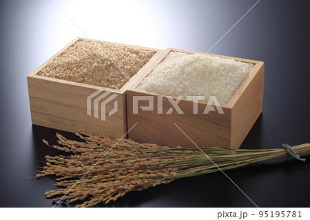 玄米と白米 玄米と白米 95195781