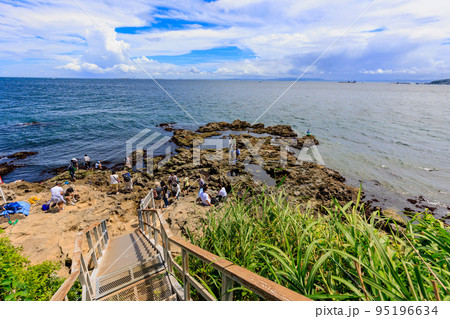 神奈川県　横須賀市　猿島　（オイモノ鼻広場） 95196634