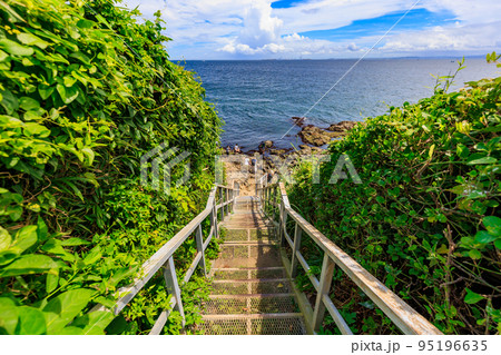 神奈川県　横須賀市　猿島　（オイモノ鼻広場） 95196635