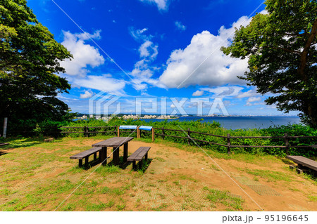 神奈川県　横須賀市　猿島　（展望広場） 95196645