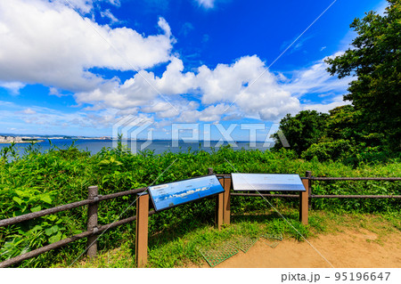 神奈川県 横須賀市 猿島 (展望広場) 神奈川県 横須賀市 猿島 (展望広場) 95196647