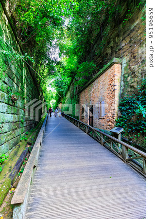 神奈川県　横須賀市　猿島　（猿島要塞の切通し） 95196659