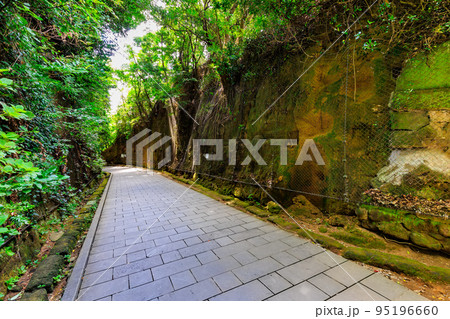 神奈川県　横須賀市　猿島　（猿島要塞の切通し） 95196660